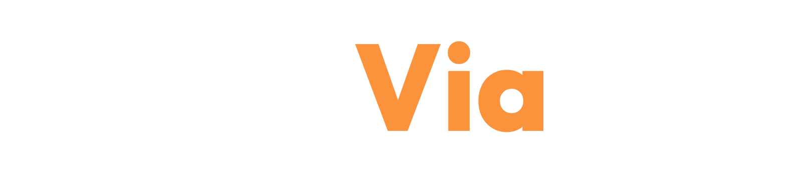 StormVia logo
